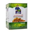 صداقت-خیارشور حلب ویژهB